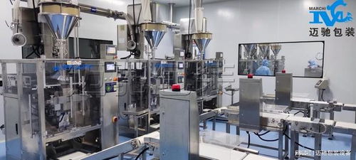 全自動(dòng)粉體包裝機(jī) 前沿品牌與研發(fā)趨勢(shì)深度解析